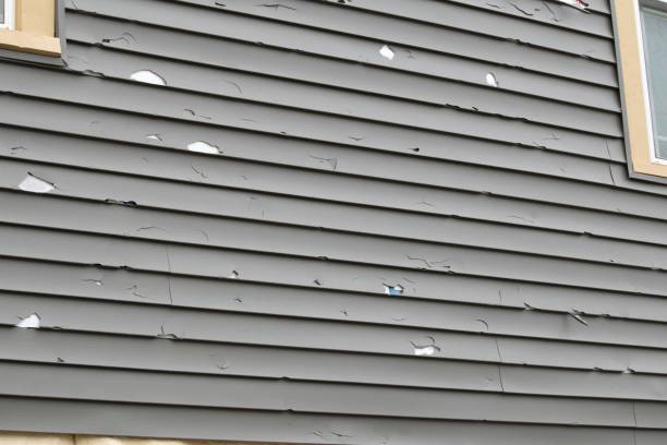 Trusted Sierra Vista, AZ Siding Services Experts